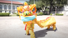 Lion Dance Thumbnail